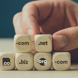 Registracija domene + web hosting - HR